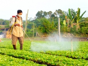 "Thực phẩm an toàn" đang “đầu độc” chúng ta!
