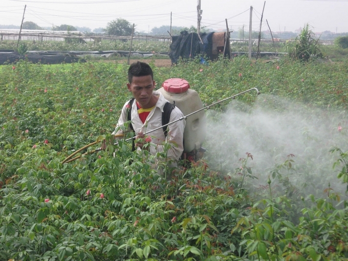 Nguy cơ mắc tai nạn lao động và bệnh nghề nghiệp trong lĩnh vực nông nghiệp