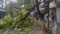 Thiệt hại do bão số 4 tại Đà Nẵng, Quảng Nam