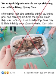 Xử phạt người tung tin "học sinh vùng cao Quảng Nam ăn cơm với thịt chuột"