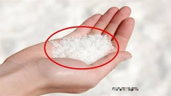 6/6 mẫu muối gia vị ở Hà Nội đều nhiễm vi nhựa và nỗi lo lắng của người dân