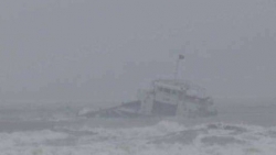 Vụ chìm tàu cá trên biển Bình Thuận: Đã cứu được 3 thuyền viên mất tích