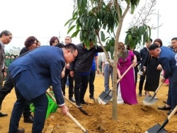 Cùng hưởng ứng Chương trình trồng 1 tỷ cây xanh, "Vì một Việt Nam xanh" của Bộ TN&MT
