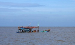 Tiếp tục tìm kiếm thuyền viên tàu cá bị mất tích khi đang làm việc trên biển