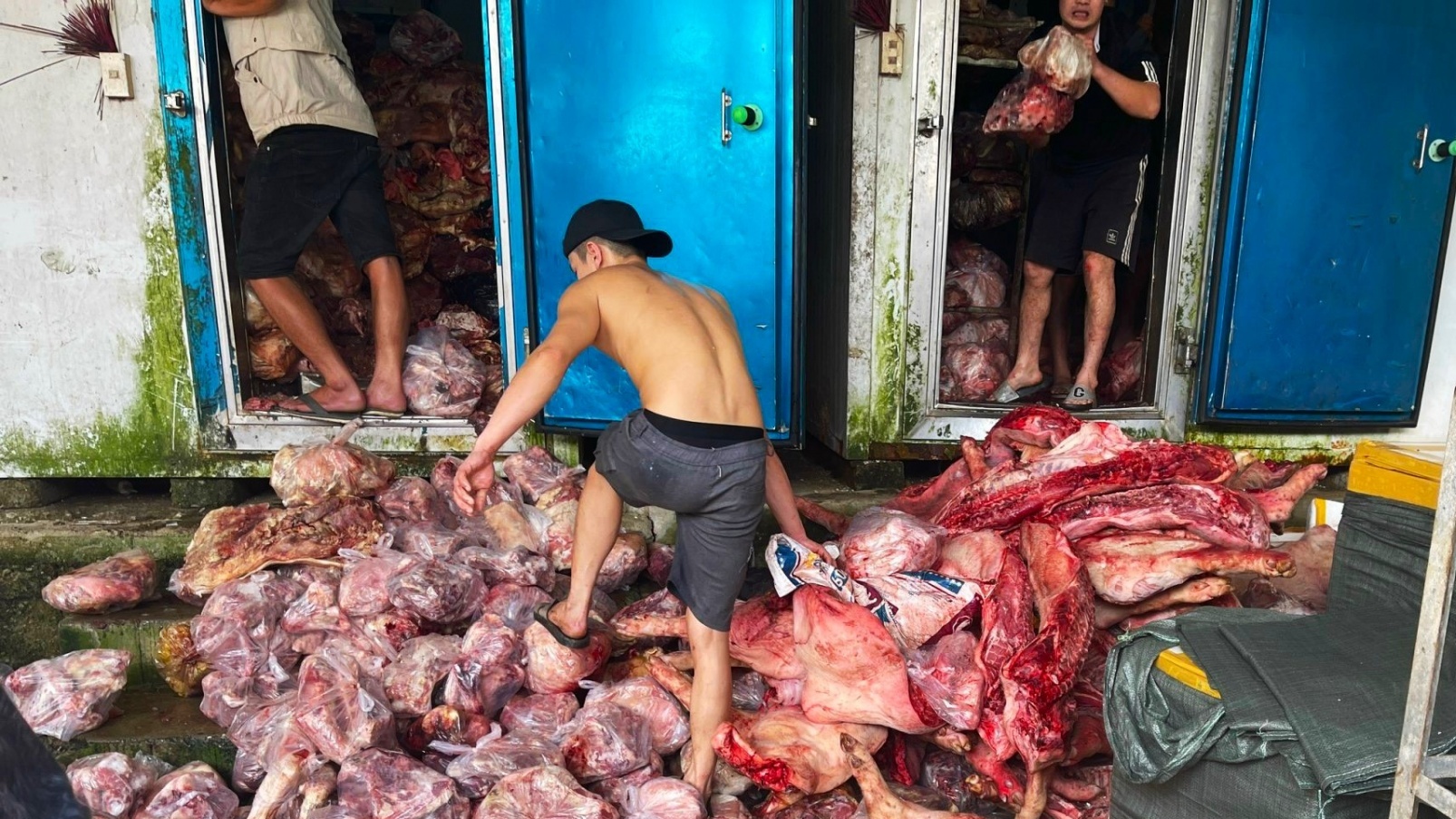 Kinh hãi mức nhiễm khuẩn vượt 60 lần từ 3 tấn thịt bẩn bị bắt ở Huế