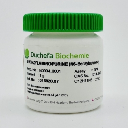 Vụ giá đỗ ngâm hóa chất: dễ dàng mua bán và sử dụng “nước kẹo” 6-Benzylaminopurine