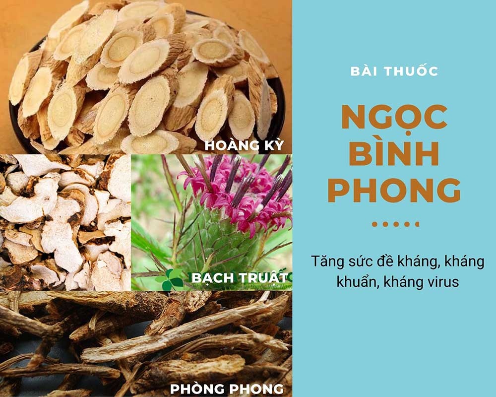 Cúm mùa bùng phát: Mẹo hay từ Y học cổ truyền giúp phòng và điều trị hiệu quả