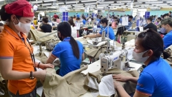 Gắn an toàn, vệ sinh lao động vào các phong trào thi đua sâu rộng, thực chất