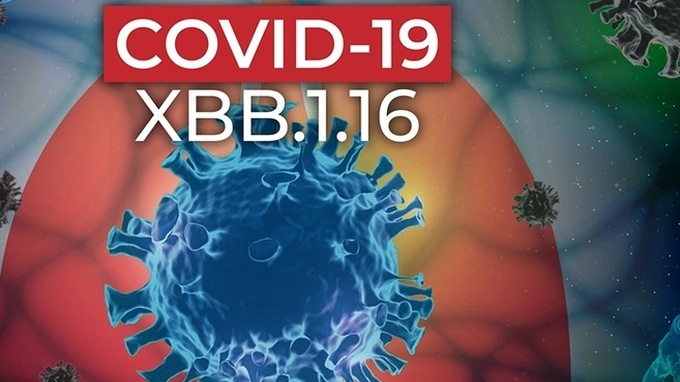 Cảnh báo: Biến thể XBB.1.16 tiếp tục lây lan, số ca COVID-19 tăng nhẹ tại TP Hồ Chí Minh