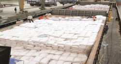 EU kiểm dịch chặt gạo nhập từ Việt Nam