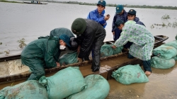 "Lụt tháng Ba, cháy nhà tháng Bảy"